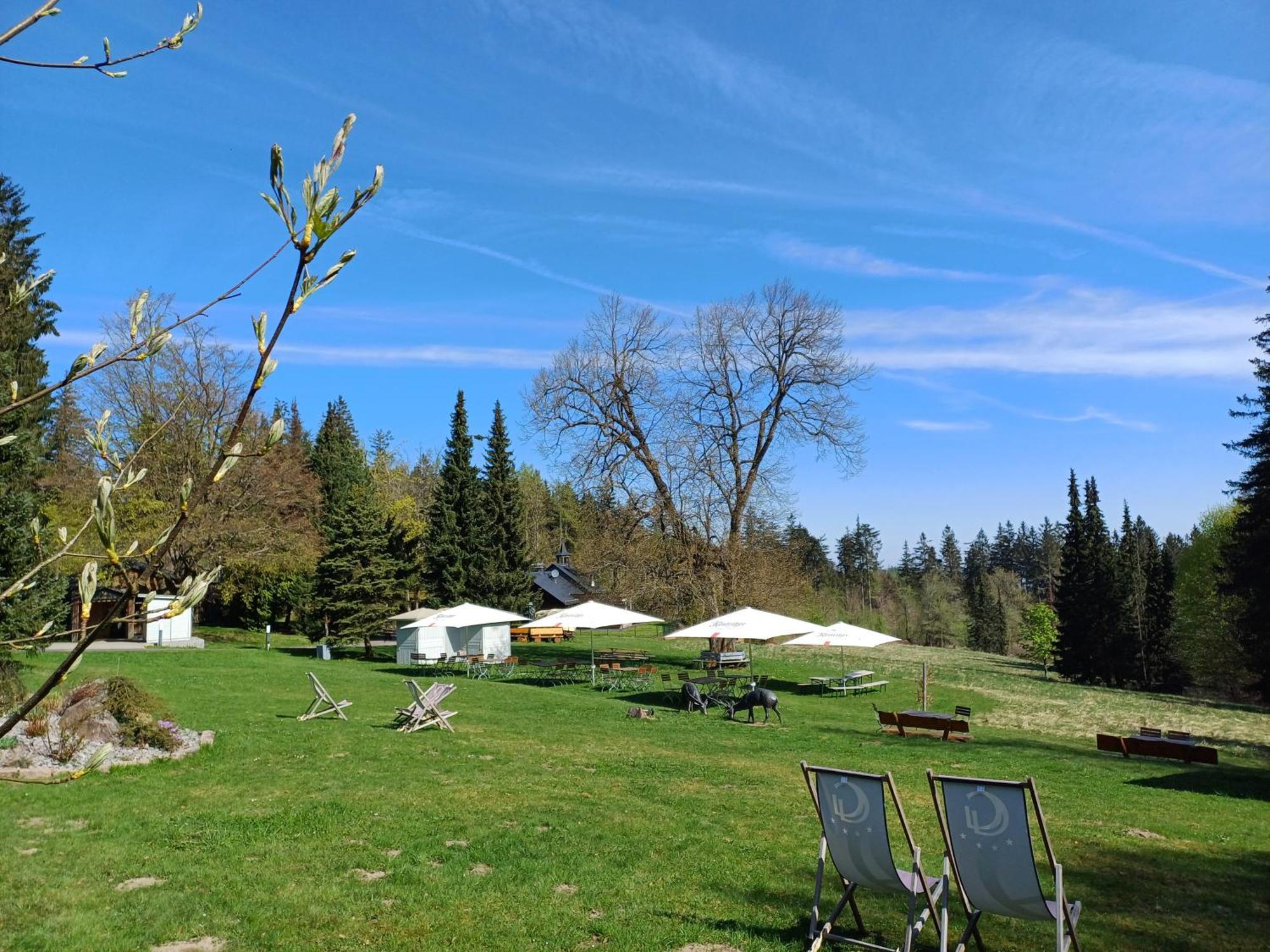 Berg & Spa Hotel Gabelbach Ilmenau Dış mekan fotoğraf